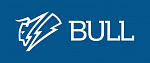 BULL